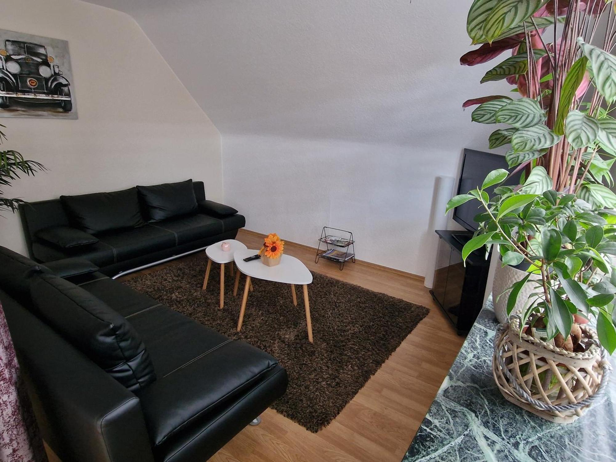 Zimmervermietungen Jachna Haselünne Exterior foto